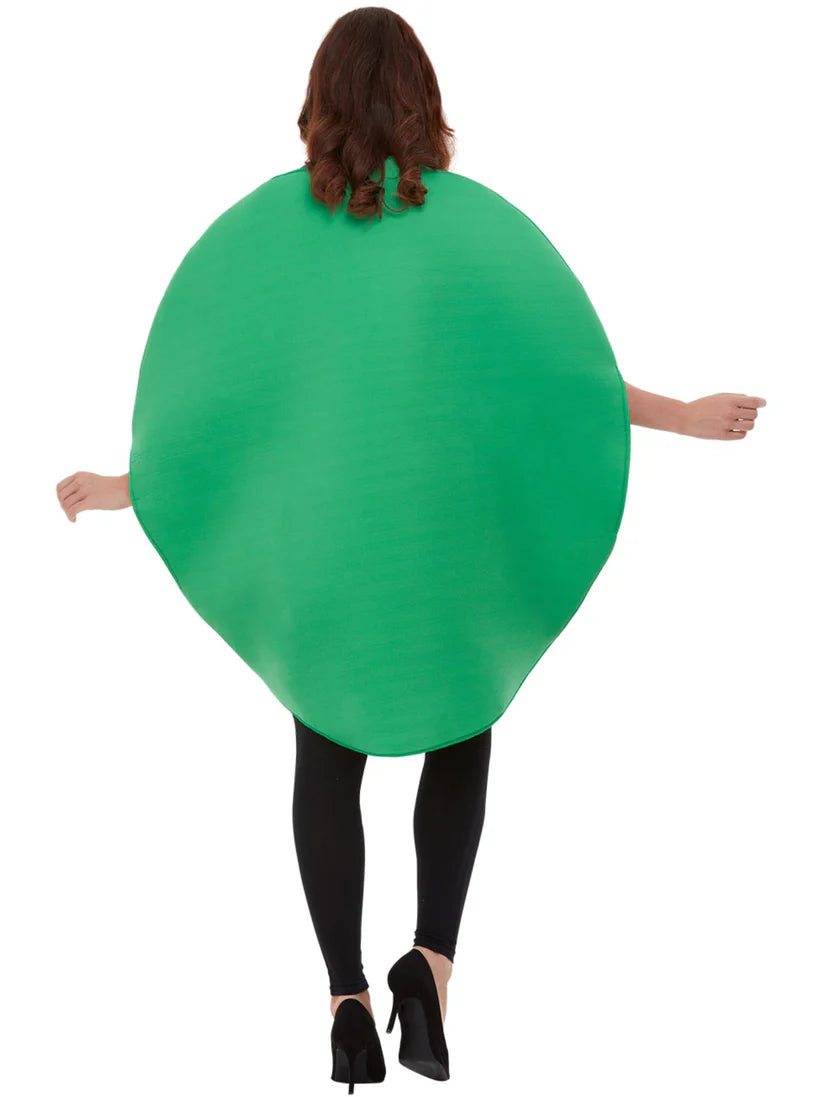 Watermelon Costume