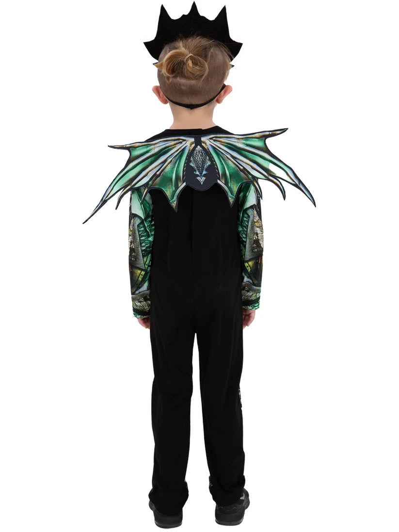 Dragon Costume